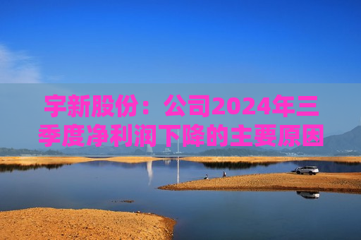 宇新股份：公司2024年三季度净利润下降的主要原因是异辛烷产品征收消费税以及其附加税费的大幅增长