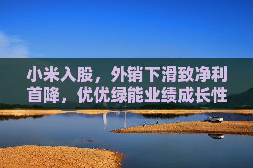 小米入股，外销下滑致净利首降，优优绿能业绩成长性遭质疑