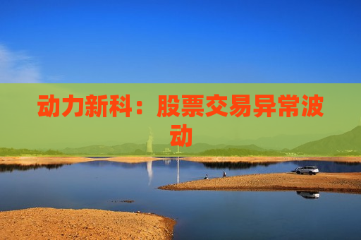 动力新科：股票交易异常波动
