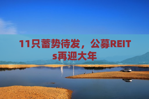 11只蓄势待发，公募REITs再迎大年