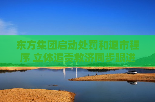 东方集团启动处罚和退市程序 立体追责救济同步跟进