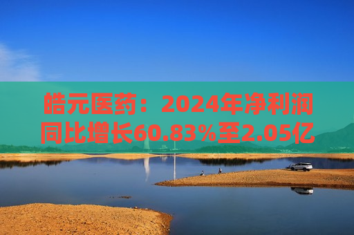 皓元医药：2024年净利润同比增长60.83%至2.05亿元