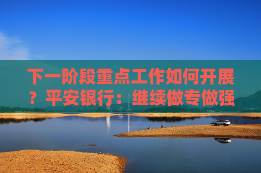 下一阶段重点工作如何开展？平安银行：继续做专做强投资、交易和客户业务