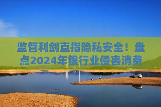 监管利剑直指隐私安全！盘点2024年银行业侵害消费者权益警示案例