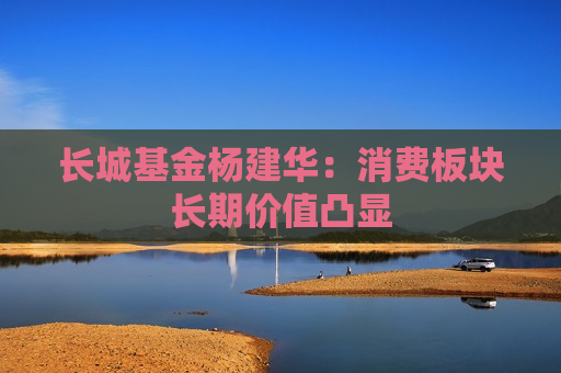 长城基金杨建华：消费板块长期价值凸显