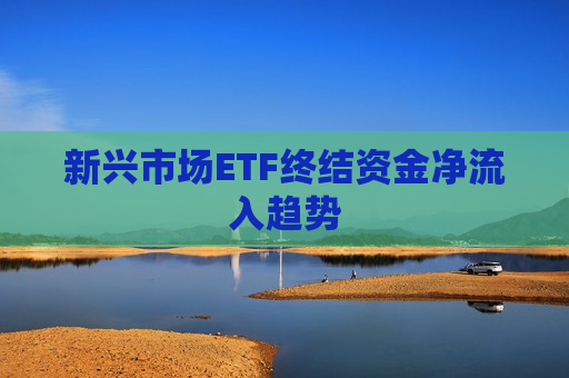 新兴市场ETF终结资金净流入趋势  第1张