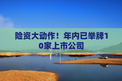 险资大动作！年内已举牌10家上市公司