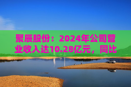 聚辰股份：2024年公司营业收入达10.28亿元，同比增长46.10%