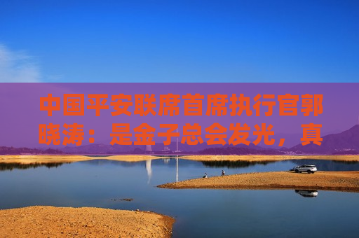 中国平安联席首席执行官郭晓涛：是金子总会发光，真正的核心价值会被市场看到