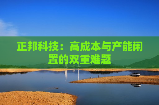 正邦科技：高成本与产能闲置的双重难题