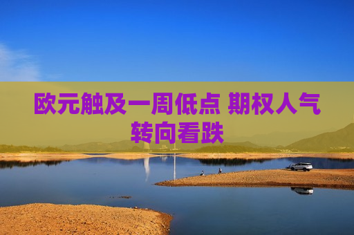 欧元触及一周低点 期权人气转向看跌