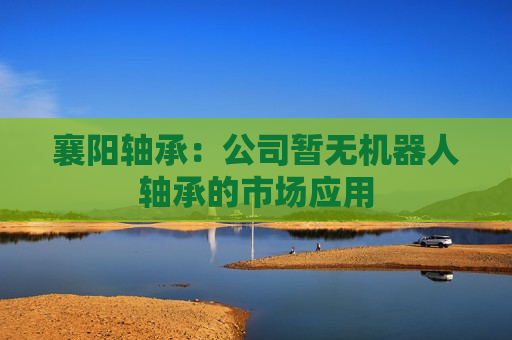 襄阳轴承：公司暂无机器人轴承的市场应用