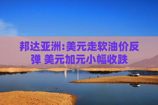 邦达亚洲:美元走软油价反弹 美元加元小幅收跌