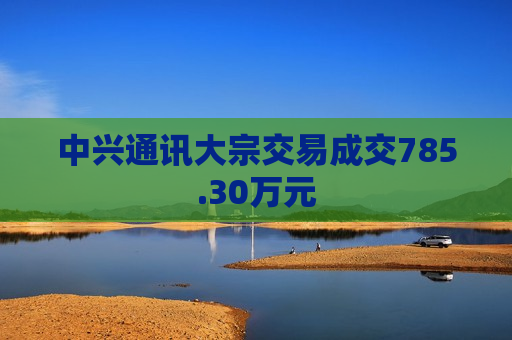 中兴通讯大宗交易成交785.30万元  第1张
