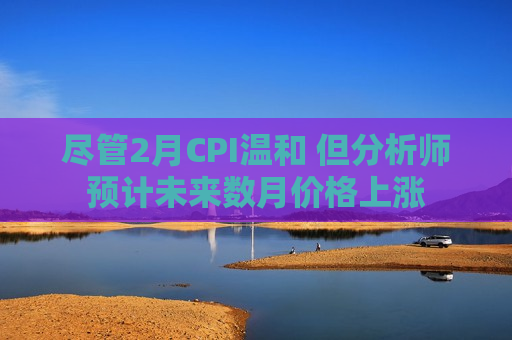 尽管2月CPI温和 但分析师预计未来数月价格上涨