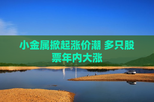 小金属掀起涨价潮 多只股票年内大涨