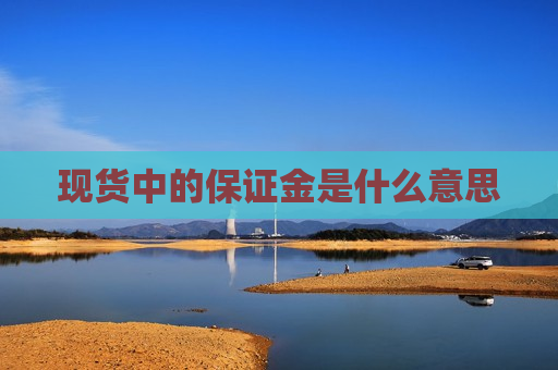 现货中的保证金是什么意思  第1张