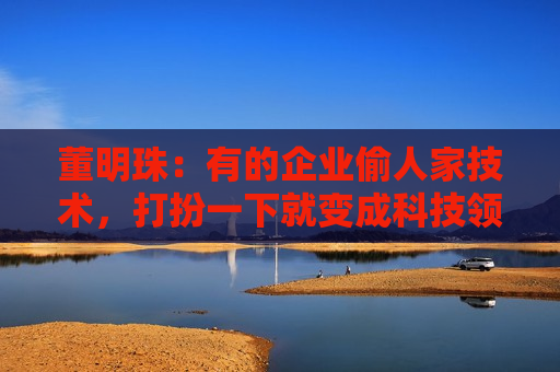 董明珠：有的企业偷人家技术，打扮一下就变成科技领导者