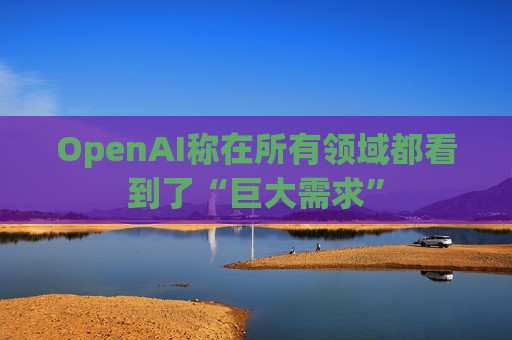 OpenAI称在所有领域都看到了“巨大需求”