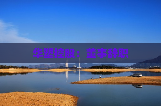 华塑控股：董事辞职