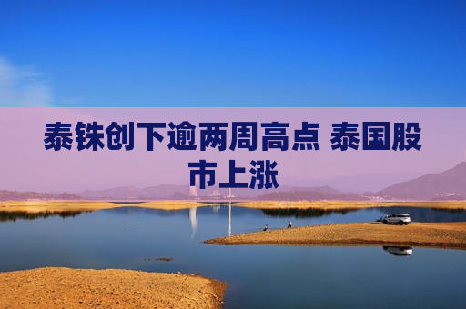 泰铢创下逾两周高点 泰国股市上涨