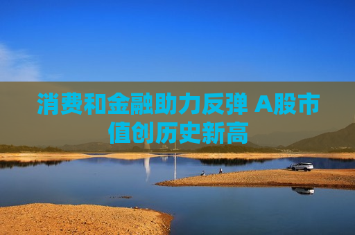 消费和金融助力反弹 A股市值创历史新高
