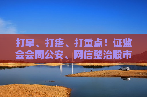 打早、打疼、打重点！ *** 会同公安、网信整治股市虚假“小作文”
