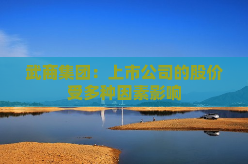 武商集团：上市公司的股价受多种因素影响