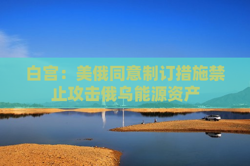 白宫：美俄同意制订措施禁止攻击俄乌能源资产