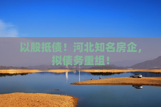 以股抵债！河北知名房企，拟债务重组！