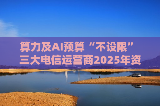 算力及AI预算“不设限” 三大电信运营商2025年资本开支计划近三千亿元