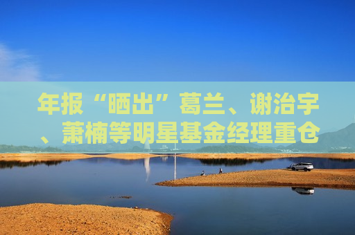 年报“晒出”葛兰、谢治宇、萧楠等明星基金经理重仓动向