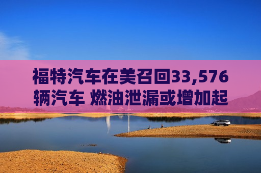 福特汽车在美召回33,576辆汽车 燃油泄漏或增加起火风险  第1张