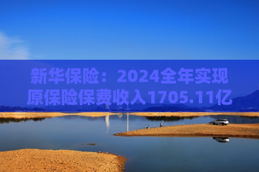 新华保险：2024全年实现原保险保费收入1705.11亿元 同比增长2.8%  第1张