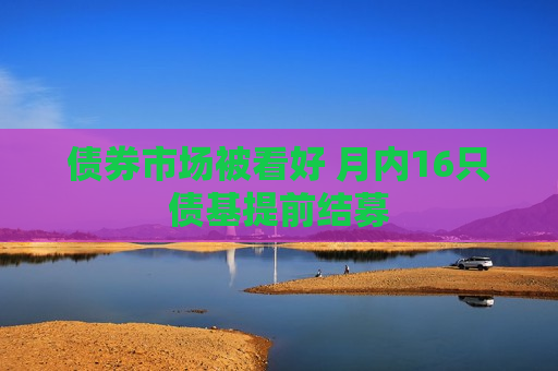 债券市场被看好 月内16只债基提前结募  第1张