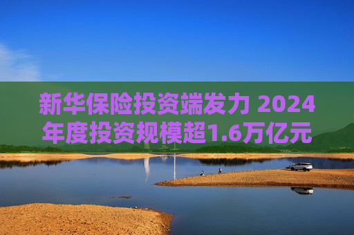 新华保险投资端发力 2024年度投资规模超1.6万亿元