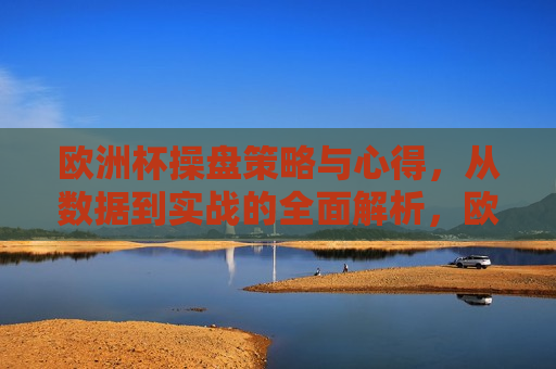 欧洲杯操盘策略与心得，从数据到实战的全面解析，欧洲杯操盘策略与心得，数据实战全面解析，欧洲杯操盘策略与心得，数据实战全面解析