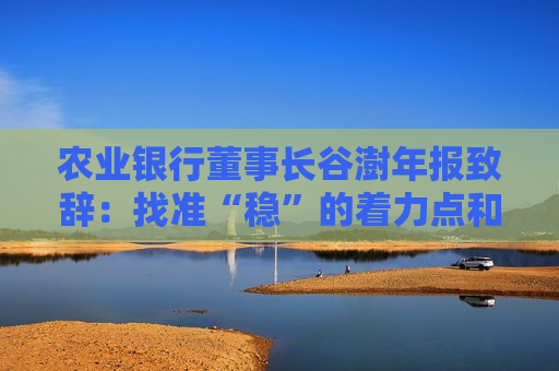 农业银行董事长谷澍年报致辞：找准“稳”的着力点和“进”的主攻方向