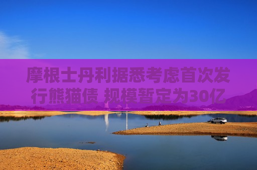 摩根士丹利据悉考虑首次发行熊猫债 规模暂定为30亿元人民币