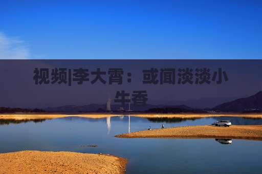 视频|李大霄：或闻淡淡小牛香