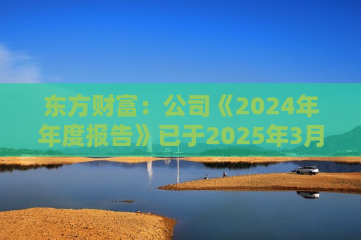 东方财富：公司《2024年年度报告》已于2025年3月15日披露