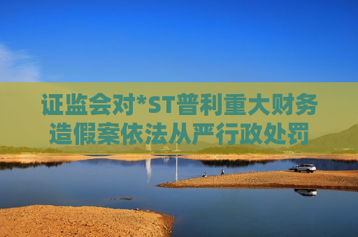  *** 对*ST普利重大财务造假案依法从严行政处罚