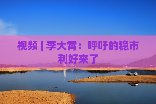 视频 | 李大霄：呼吁的稳市利好来了