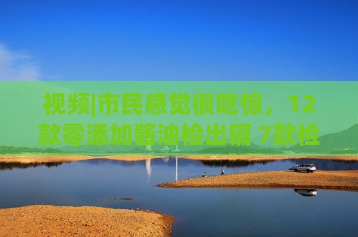 视频|市民感觉很吃惊，12款零添加酱油检出镉 7款检出砷
