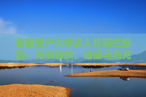美国散户大举买入特斯拉股票：无惧暴跌，相信马斯克就好！