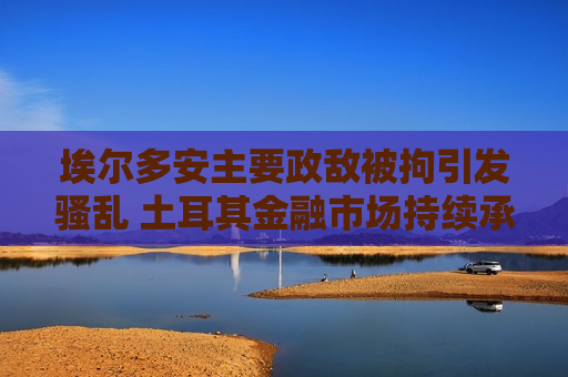 埃尔多安主要政敌被拘引发骚乱 土耳其金融市场持续承压