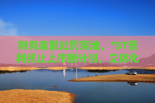 财务造假处罚落地，*ST普利终止上市倒计时，立体化追责进行中