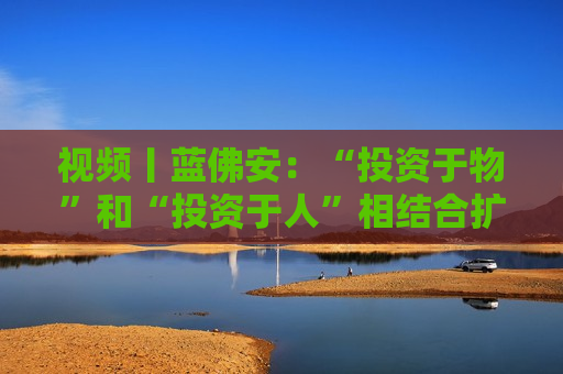 视频丨蓝佛安：“投资于物”和“投资于人”相结合扩大投资 更大力度支持“两重”“两新”