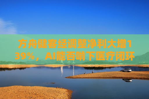 方舟健客经调整净利大增139%，AI能否啃下医疗闭环“硬骨头”？