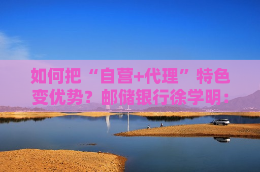 如何把“自营+ *** ”特色变优势？邮储银行徐学明： *** 费一定要坚持市场化原则